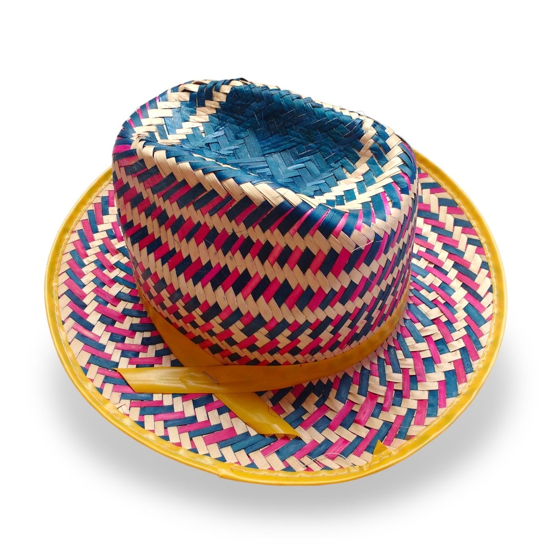 Painted Texas Hat